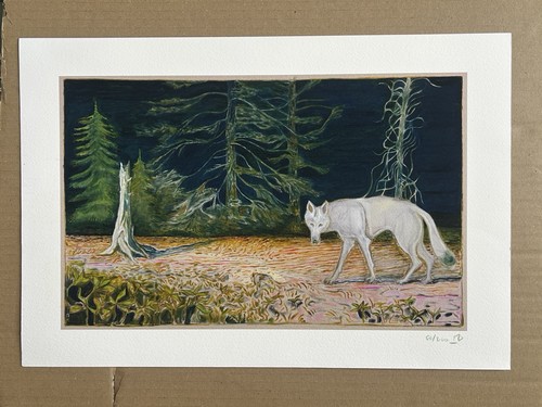 Billy childish white wolf - billy,