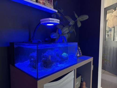 Reef casa gallon marine - 6, tank