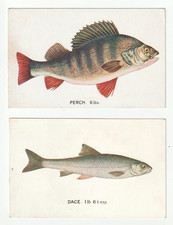 2 TUCK'S P/CARDS FROM THE SET