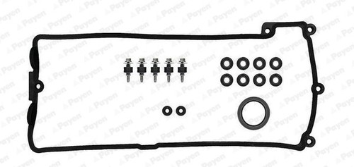 Payen hm5297 gasket set - payen,