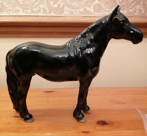 Beswick black fell pony chmp - pony,