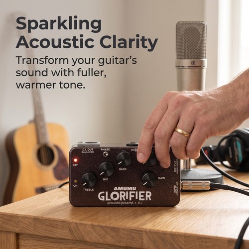Acoustic guitar preamp box - preamp, di
