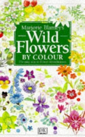 Wildflower colour blamey - colour,