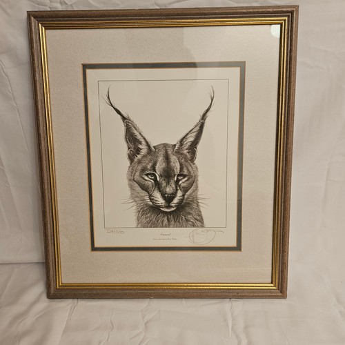 Gary hodges caracal - hodges, "caracal"