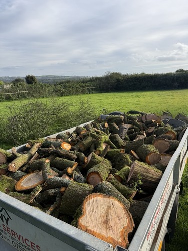 Logs 🪵 And Wood Chip