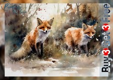 Serene Woodland Fox