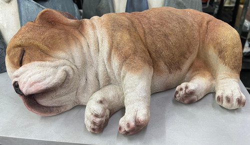 Sleeping british bulldog - sleeping,