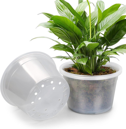 Pack inch large clear - large,