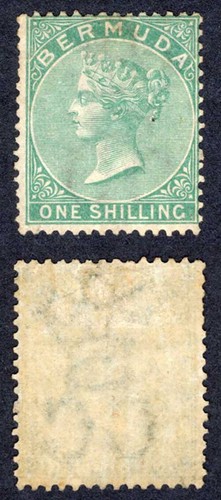 Bermuda sg8 green - sg8, wmk