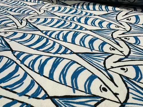 Sprats fish blue - fish,
