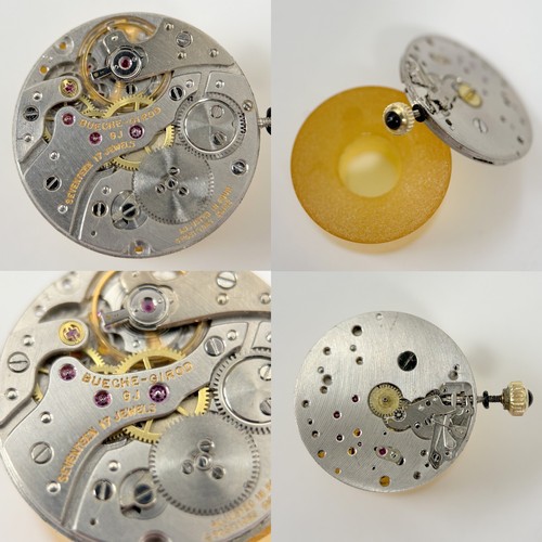 Frederic piguet bueche - frederic,