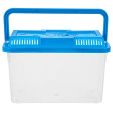  Turtle Aquarium Fish