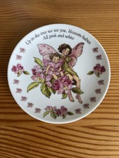 Flower Fairies The Apple