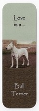 BULL TERRIER DOG BEAUTIFUL DOG