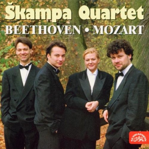 Beethoven string quartet e - string,