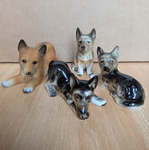 Alsatian german shepherd - alsatian,