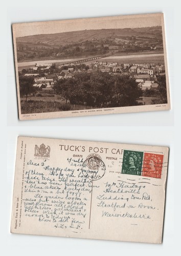 Vintage postcard shaldon - vintage,