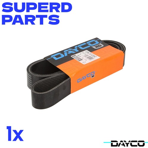 Ribbed belt b010dxixn4 - belt,