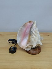 Vintage large conch sea - large,