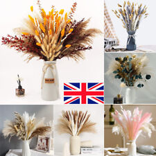 Natural Dried Pampas Grass