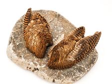 PAIR OF HIGH QUALITY WOODCOCK