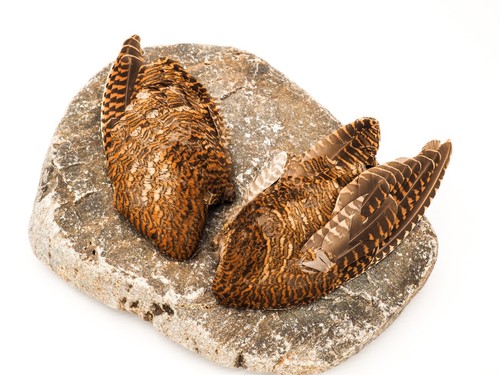 Pair high quality woodcock - pair,