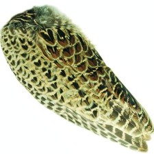 Pheasant Hen Ringneck Whole
