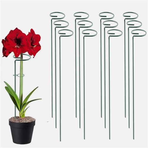 Spiral plant support - spiral, stakes