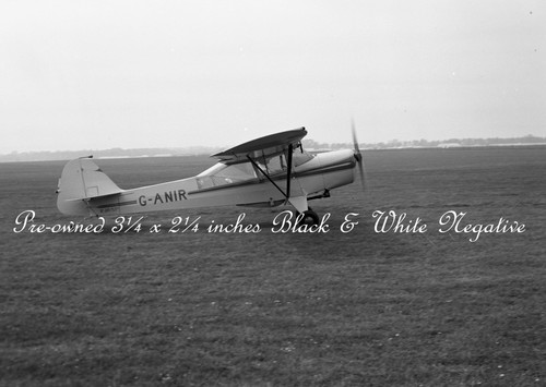 Auster anir c1950s - auster, 5
