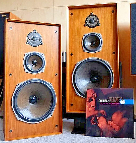 Celestion ditton amazing - ditton,