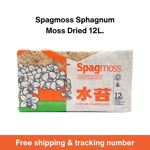 Spagmoss sphagnum moss - sphagnum, besgrow