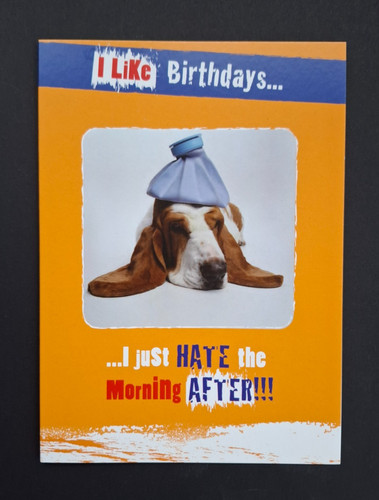 Basset hound birthday card - basset,
