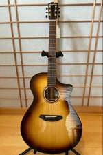 Breedlove artista pro - pro, concerto