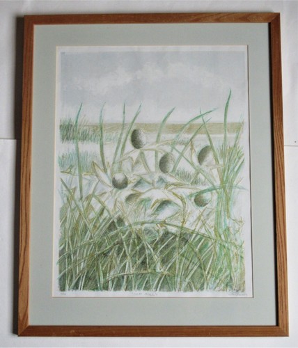 Alan grabham sea holly - grabham,,