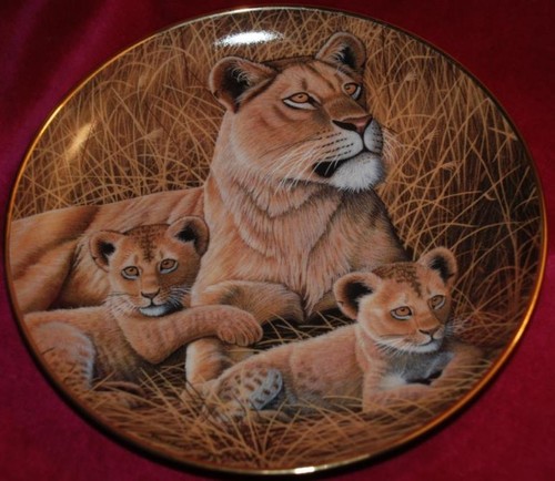 Michael matherly ltd plate - ed,