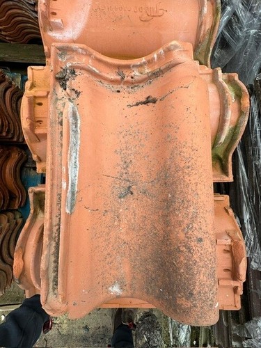Tudor crossley clay - crossley,