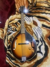 Ozark Mandolin Acoustic Guitar