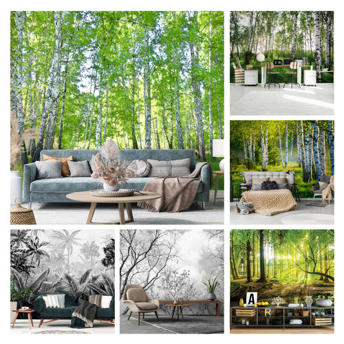 Forest green trees photo - trees,