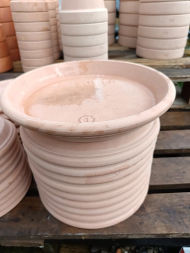 31cm terracotta plant saucer - terracotta,
