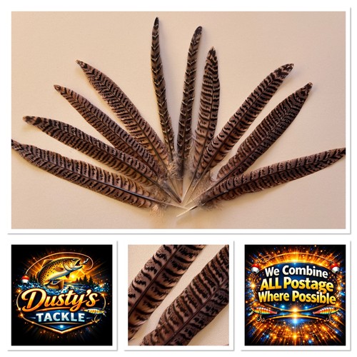 Hen pheasant tail feathers - pheasant,