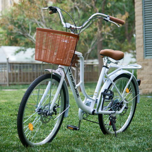 Wheels vintage bike - vintage,