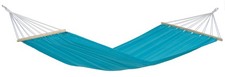 Amazonas Miami Hammock