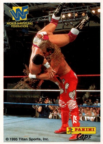 Wwf wwe panini caps - caps, 1995