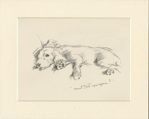 Poodle vintage 1937 dog - poodle,