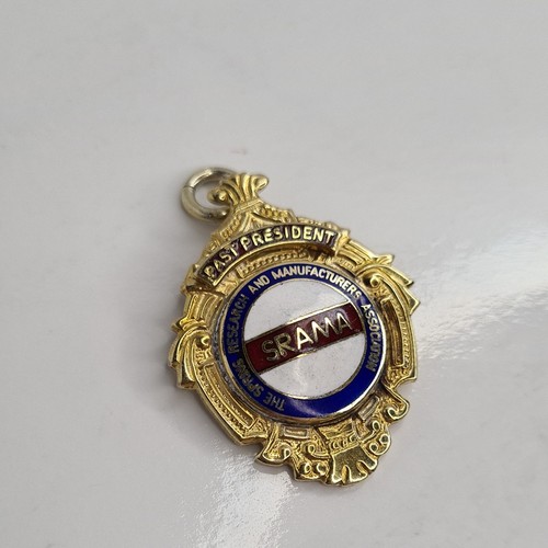 Sterling silver enamel medal - sterling,