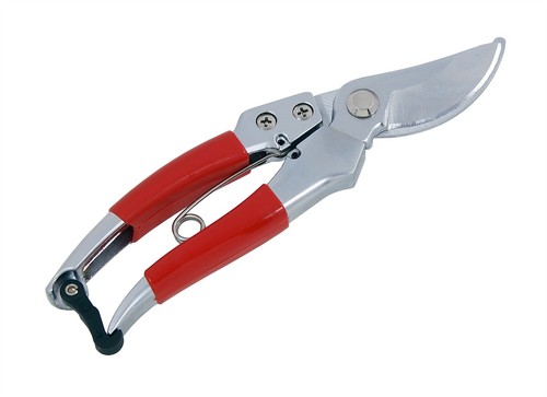 Pruning shears secateurs - 8",