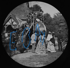 JUMBO THE ELEPHANT AT LONDON