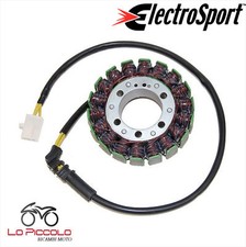 Starter Flywheel Magnets