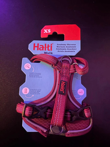 Halti dog harness anatomy - halti,
