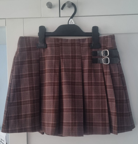 Girls aged12 zara skirt - girls,